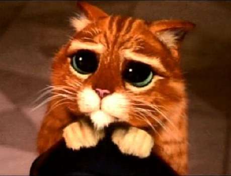 Ольга Миледи