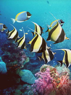 Жанна ***********