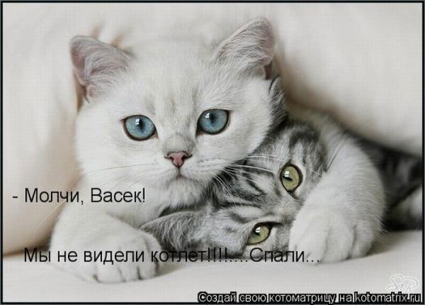 Егорова Надежда