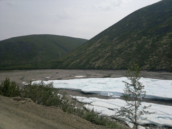 Алла Колычева