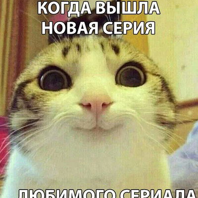 Милена Мирошина