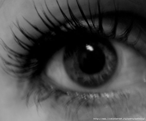 Бесёнок ......