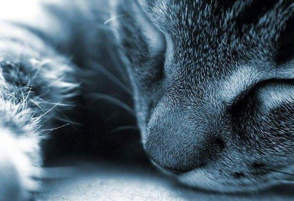 Наталия Фомченкова