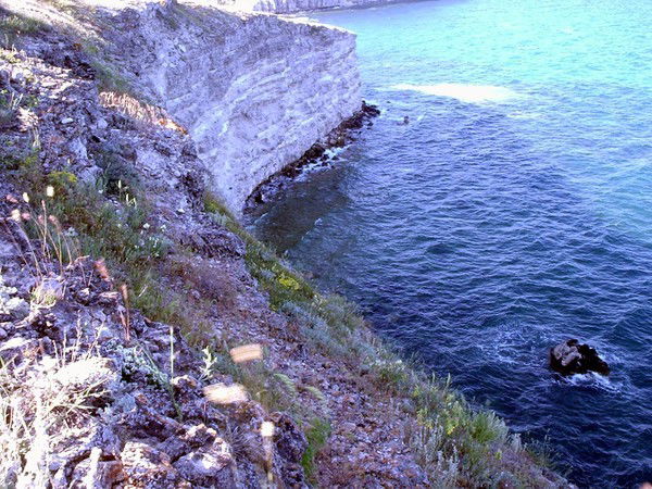 Николай Кадочников