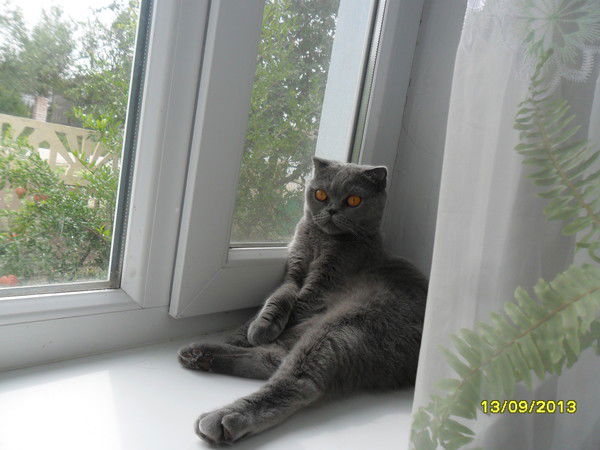 Ольга Ступакова