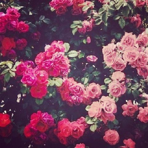 Багитжан Ильясова