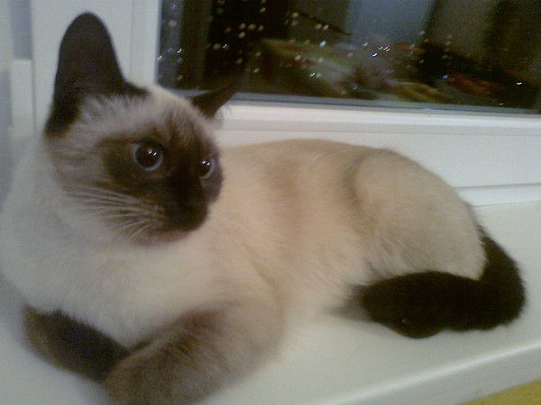 Наталья Плотникова