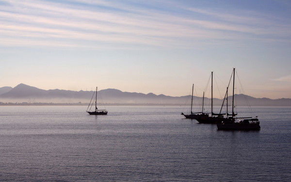 Виталик Попов