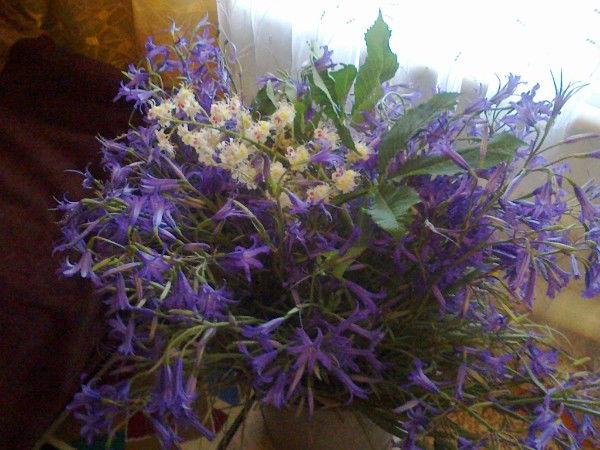 Ирина Белявская