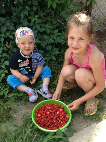 Анатолий Усманов