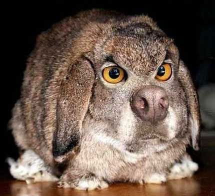 Кирилл Сивцов