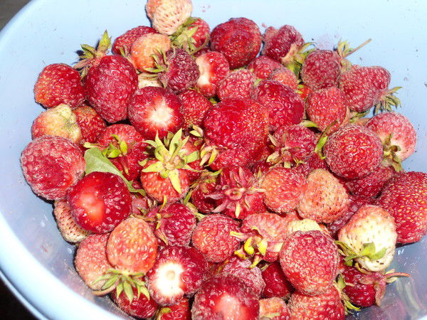 Ольга Децик