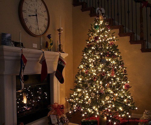 Рустам Магомедов