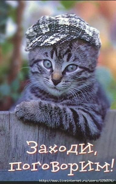 Николай Федотов Казахстан