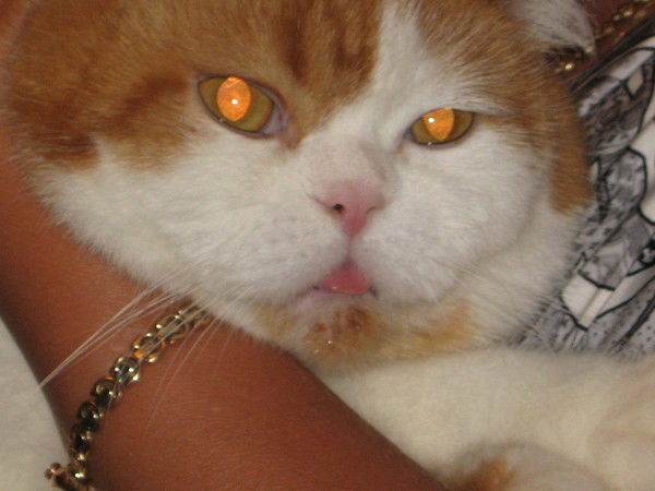 Геннадий Литвинюк