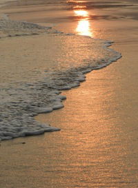 Анна Скрипник