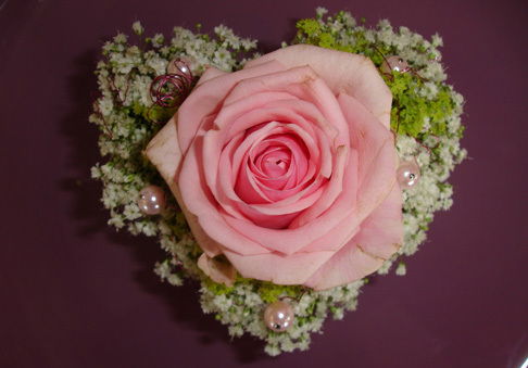 Айнура Сапенова