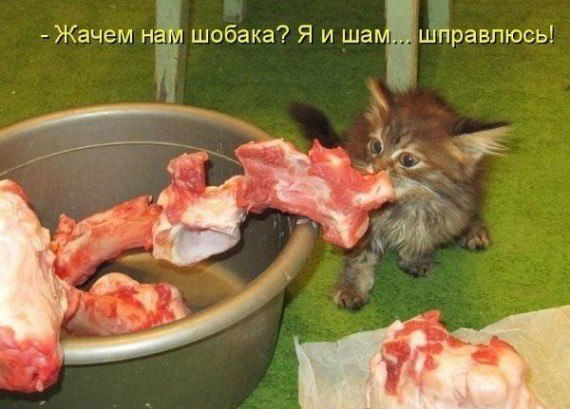 Дмитрий Орлянский