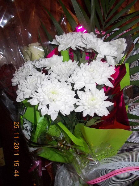 Настя Шарко