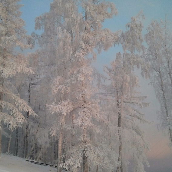 Ирина Калинина