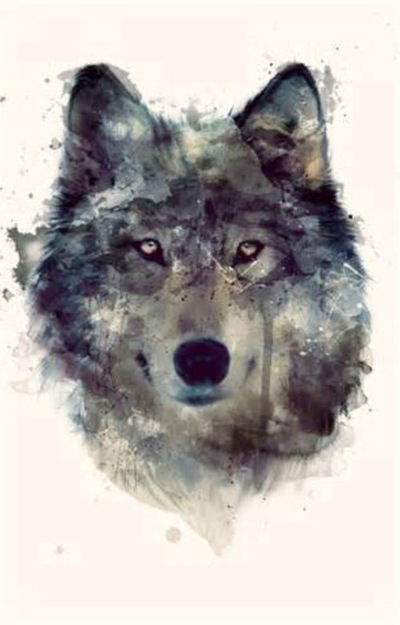 Виктория Волли