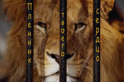 Арыстан Укиев