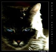 Николай Иванов