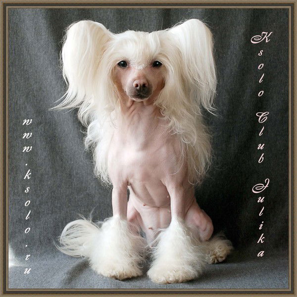 Елена Медведева