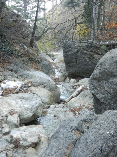 Анатолий Дьяченко