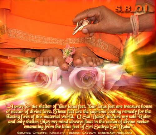 Евгения Николаева