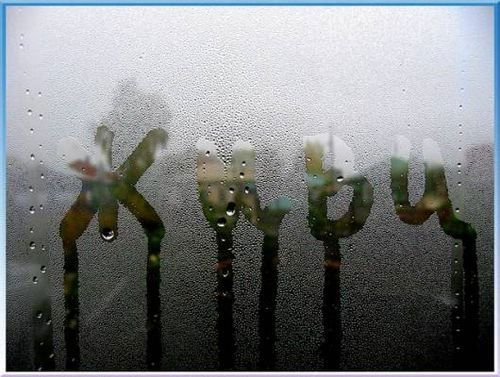 Илья Гордеев