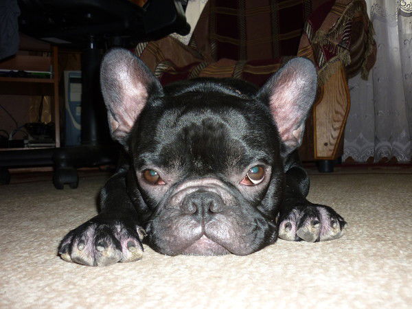 Геннадий Эсипов