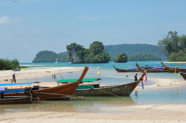 Петухова Екатерина