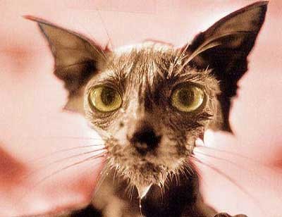 Мария Савенкова