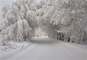 Татьяна Миронова