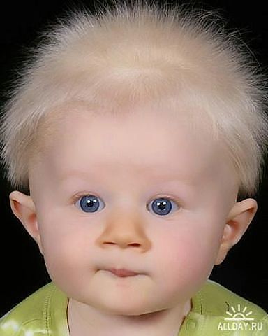 Сергей Погодаев