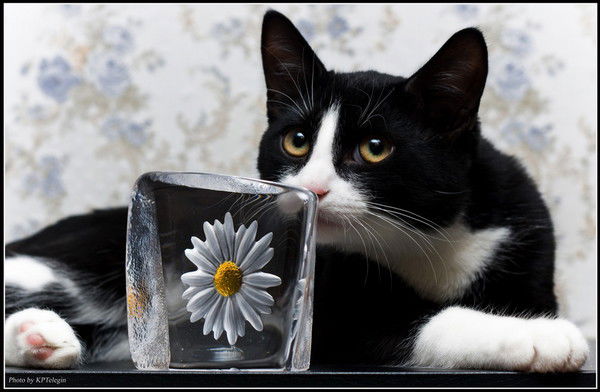 Марина Мариночка