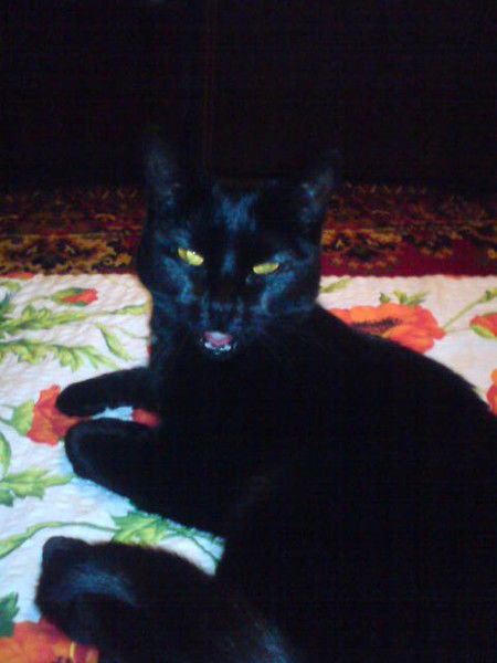 Татьяна Делова