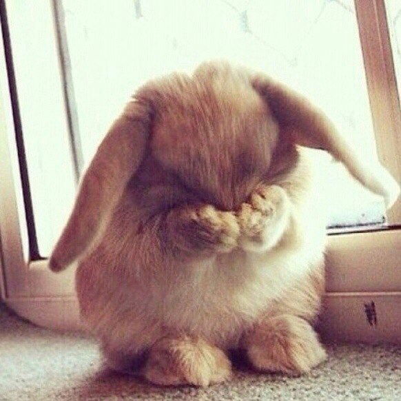 Виктория Новикова