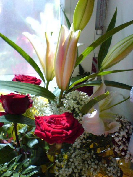 Фарида Таздарбаева