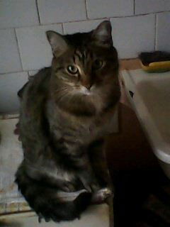 Ольга Сухомлинова