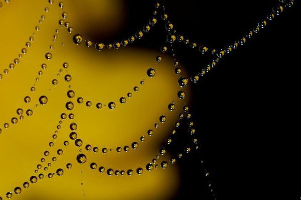 Андрей Семенов