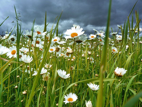 Луиза Сулейманова