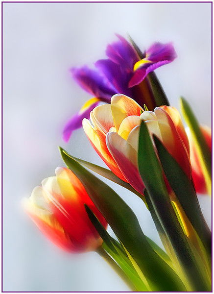 Виктория Дулерайн