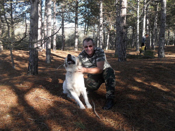 Митин Владимир