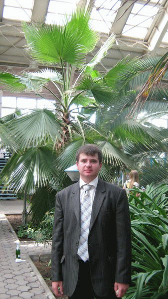 Алексей Рогов