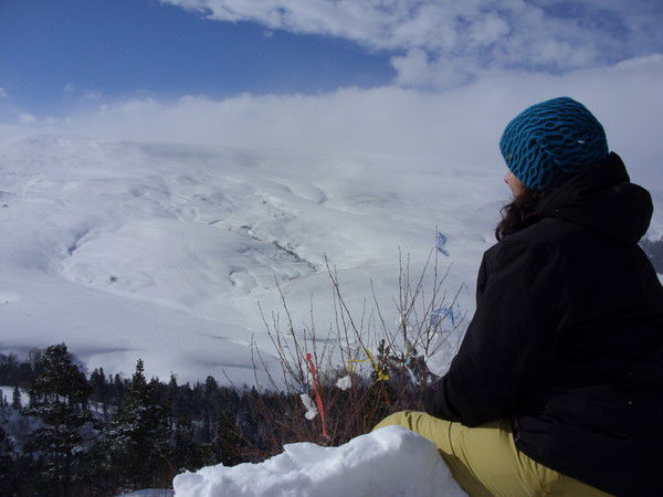 Галчонок Аль-Амри