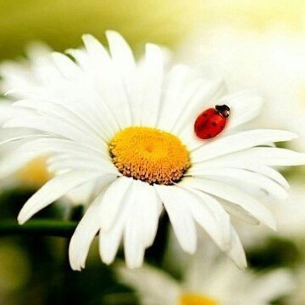 Наталья Кургина