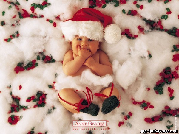 Дина Сейдахматова