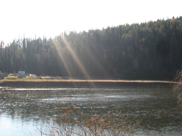 Екатерина Семина